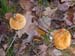 DSCN0087-01