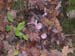 DSCN0103-01