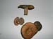 Lactarius-sanguifluus